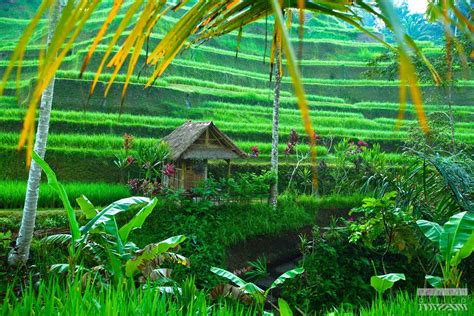 indonesia travel packages from south africa
